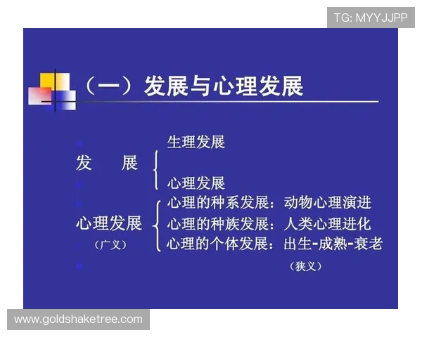 PG娱乐手机登录入口常见问题及解决方法,保障你的游戏畅玩无忧 PG娱乐手机登录入口常见问题及解决方法,保障你的游戏畅玩无忧