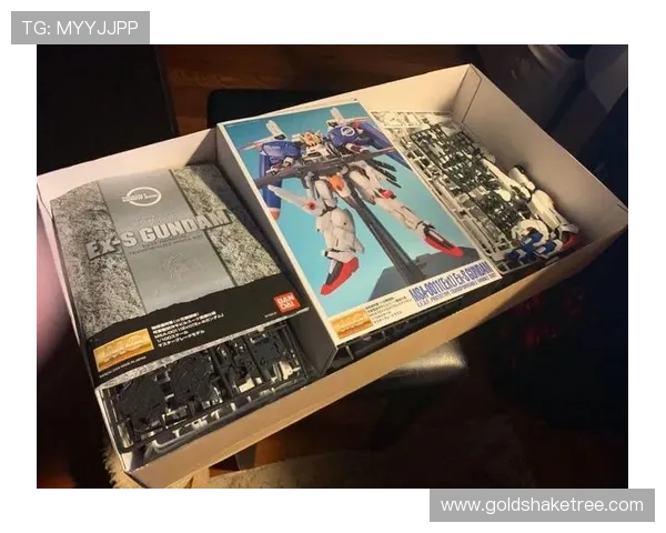 PG盒子常见问题及解决方案，帮助玩家排除使用中的各种困扰